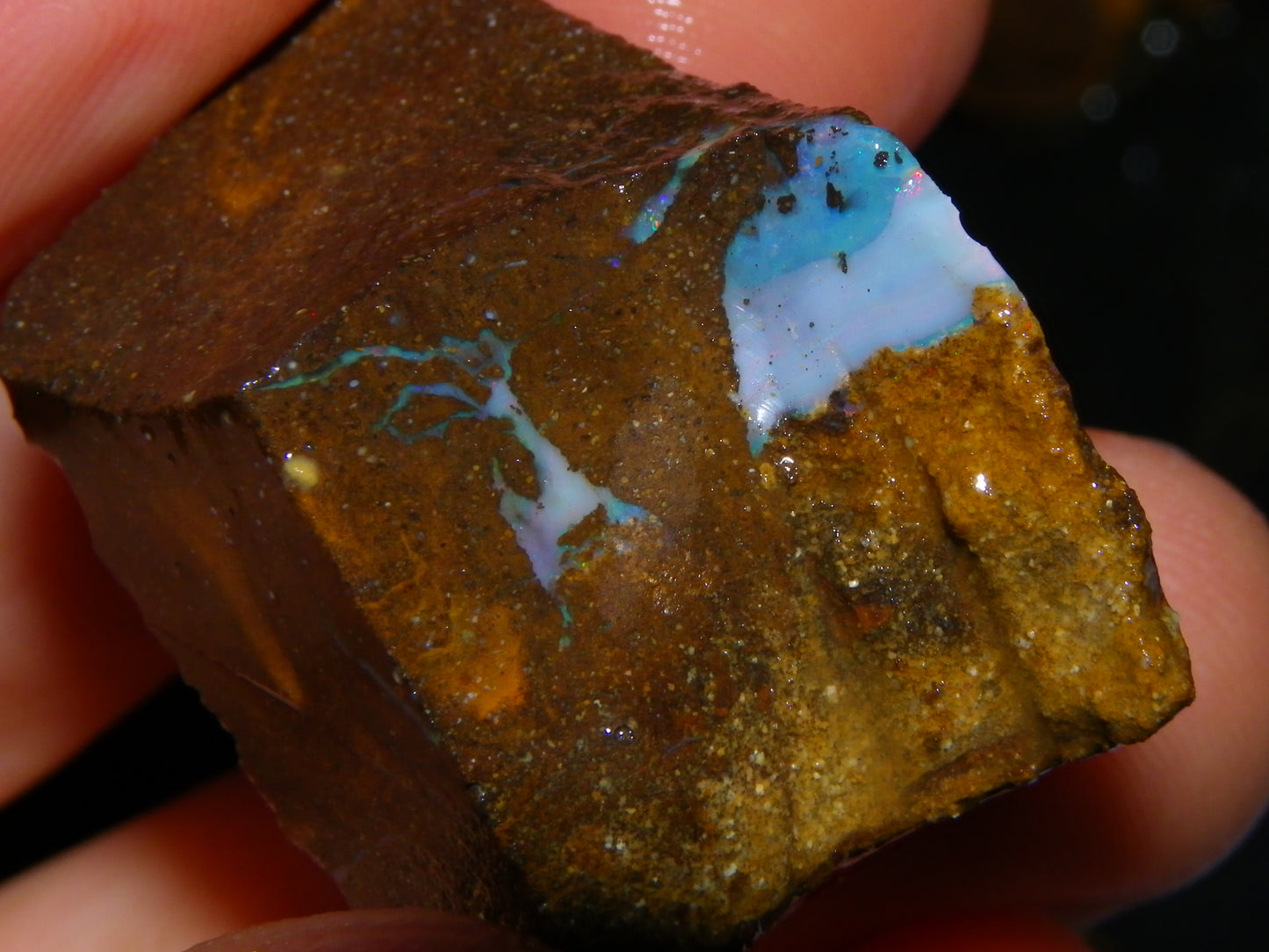 Nice Rough/Rubbed/Sliced Boulder Opal Parcel 913cts Some Veins/Fires/Specimens