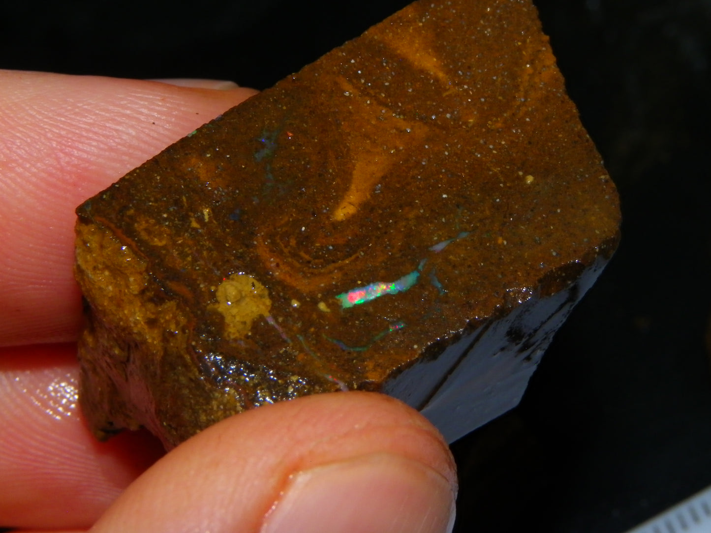 Nice Rough/Rubbed/Sliced Boulder Opal Parcel 913cts Some Veins/Fires/Specimens