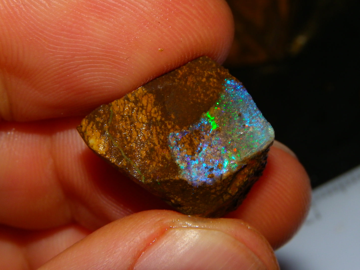 Nice Rough/Rubbed/Sliced Boulder Opal Parcel 913cts Some Veins/Fires/Specimens