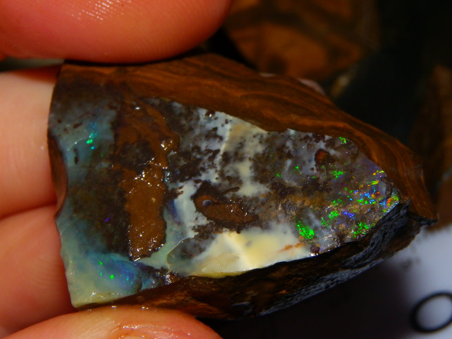 Nice Rough/Rubbed/Sliced Boulder Opal Parcel 913cts Some Veins/Fires/Specimens