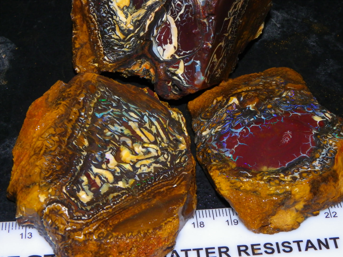 3 Nice Koroit Opal Rough/Sliced Specimens 1758cts Superb Patterns Some Fires Au