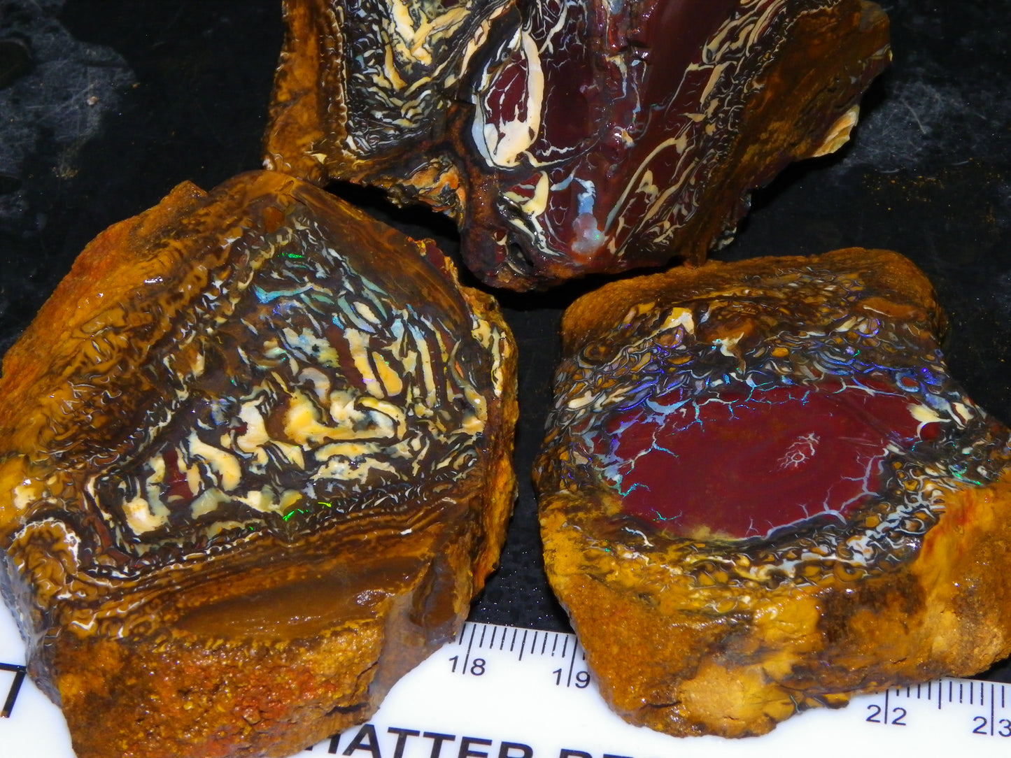 3 Nice Koroit Opal Rough/Sliced Specimens 1758cts Superb Patterns Some Fires Au