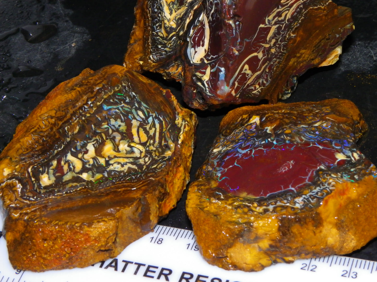 3 Nice Koroit Opal Rough/Sliced Specimens 1758cts Superb Patterns Some Fires Au