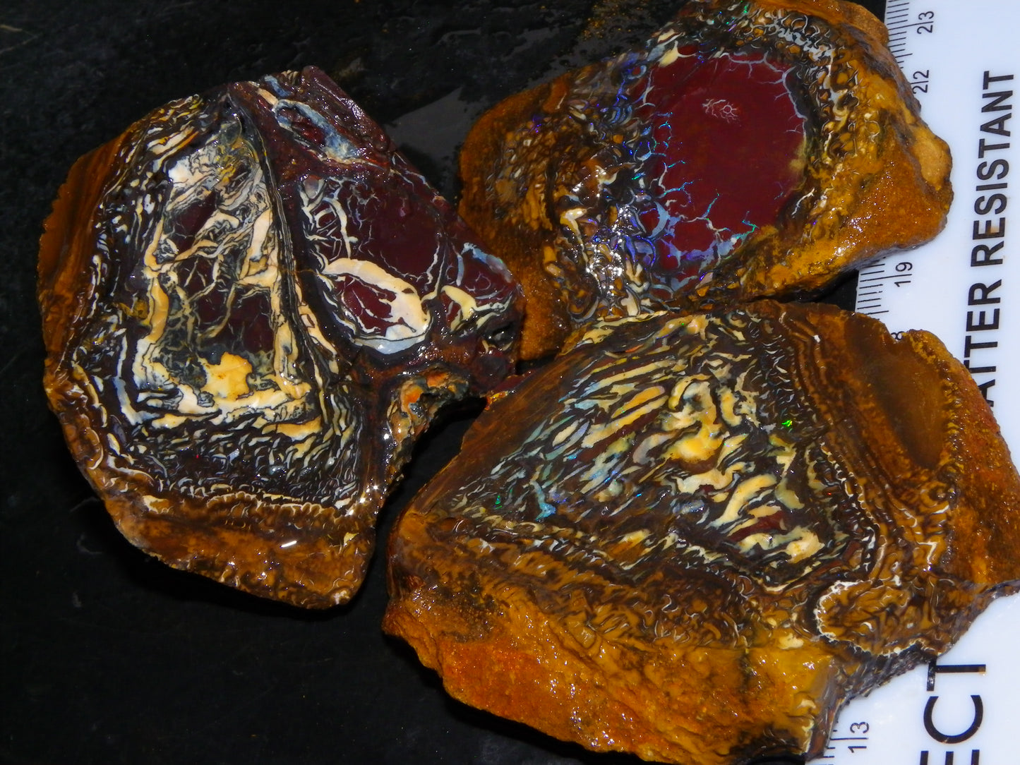 3 Nice Koroit Opal Rough/Sliced Specimens 1758cts Superb Patterns Some Fires Au
