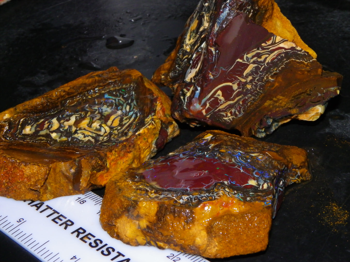 3 Nice Koroit Opal Rough/Sliced Specimens 1758cts Superb Patterns Some Fires Au