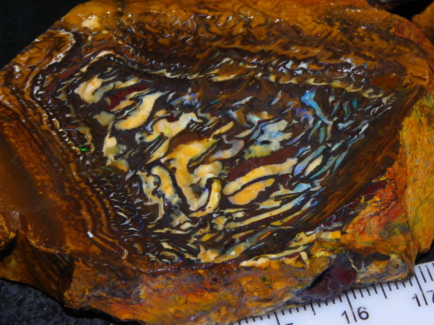 3 Nice Koroit Opal Rough/Sliced Specimens 1758cts Superb Patterns Some Fires Au