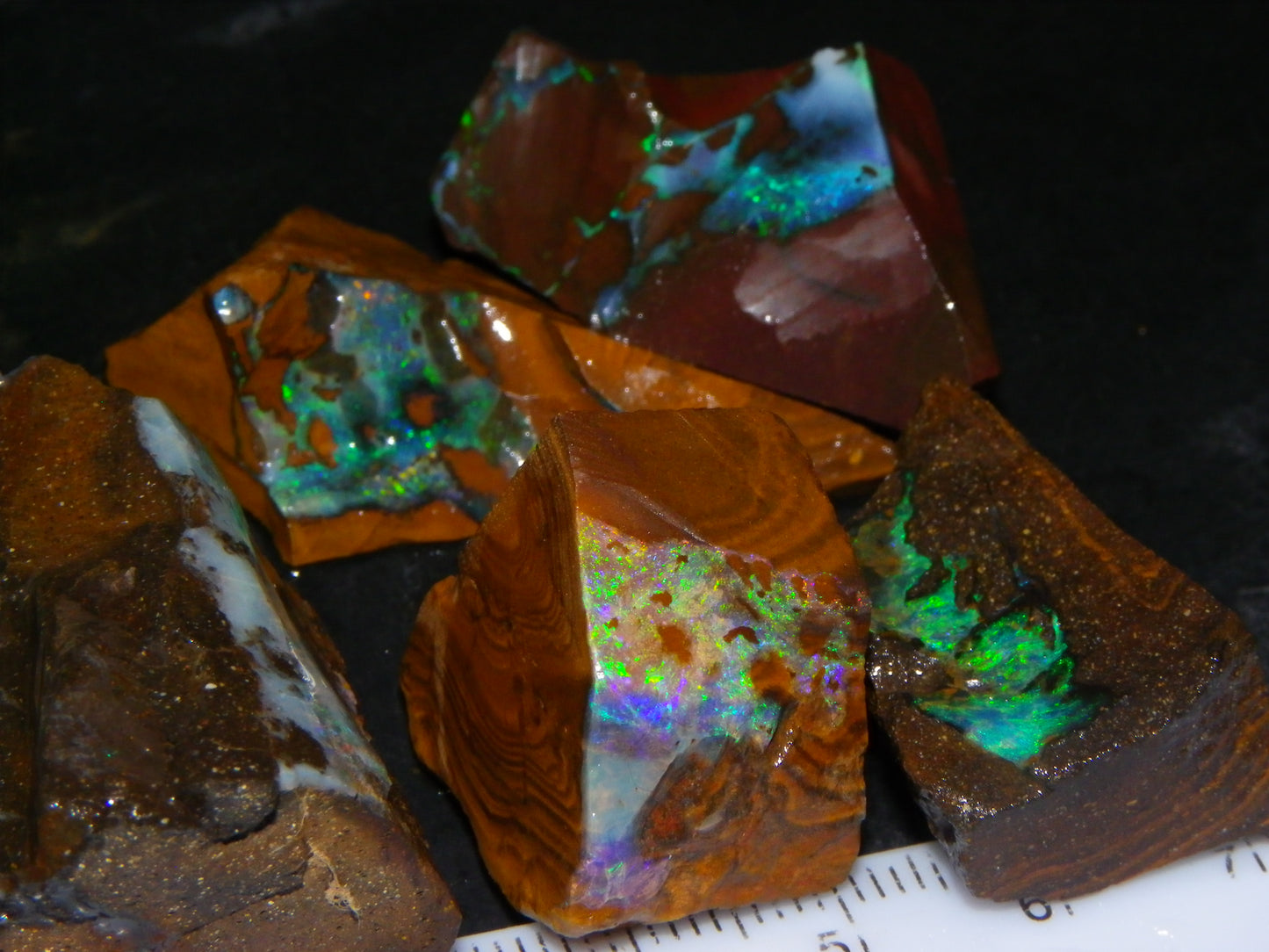 Nice Rough/Sliced/Rubbed Boulder Opal Parcel 350cts Queensland Australia :)