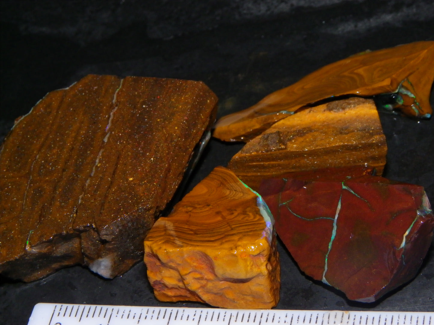 Nice Rough/Sliced/Rubbed Boulder Opal Parcel 350cts Queensland Australia :)