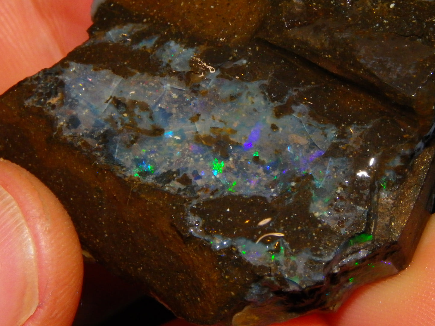 Nice Rough/Sliced/Rubbed Boulder Opal Parcel 350cts Queensland Australia :)