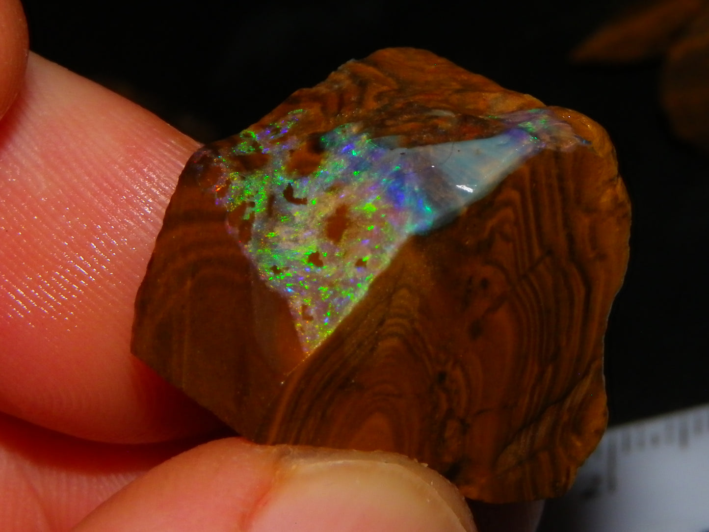 Nice Rough/Sliced/Rubbed Boulder Opal Parcel 350cts Queensland Australia :)