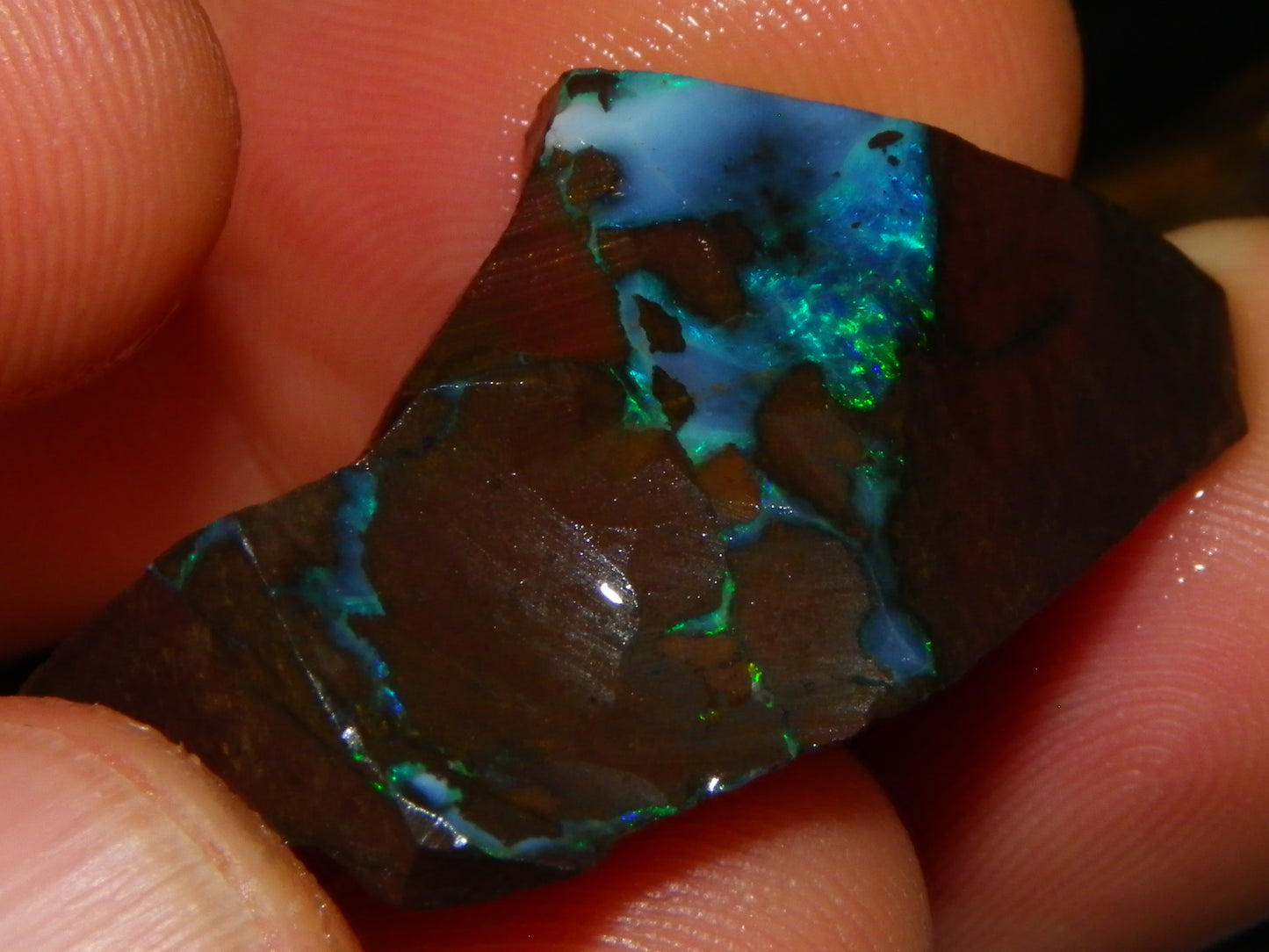 Nice Rough/Sliced/Rubbed Boulder Opal Parcel 350cts Queensland Australia :)