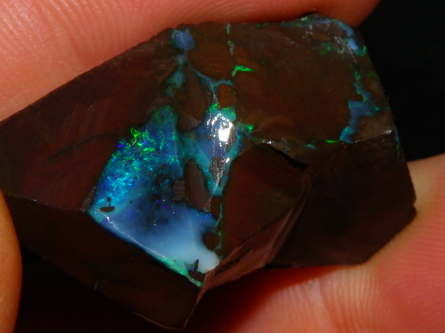 Nice Rough/Sliced/Rubbed Boulder Opal Parcel 350cts Queensland Australia :)