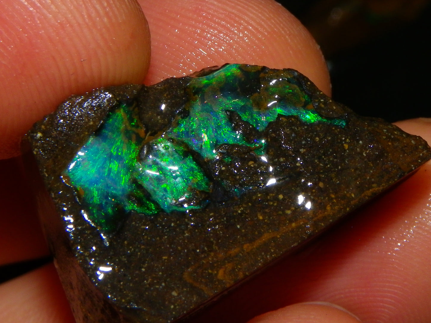 Nice Rough/Sliced/Rubbed Boulder Opal Parcel 350cts Queensland Australia :)