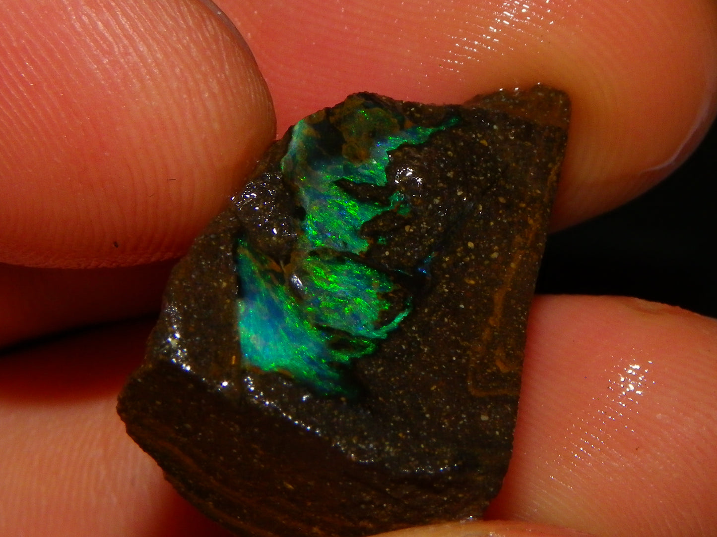 Nice Rough/Sliced/Rubbed Boulder Opal Parcel 350cts Queensland Australia :)