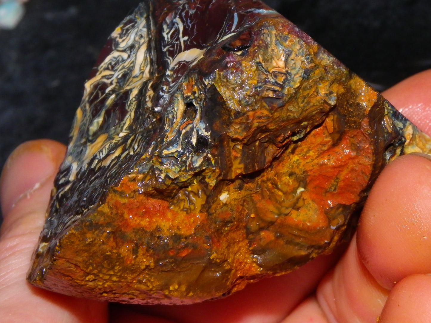 3 Nice Koroit Opal Rough/Sliced Specimens 1758cts Superb Patterns Some Fires Au