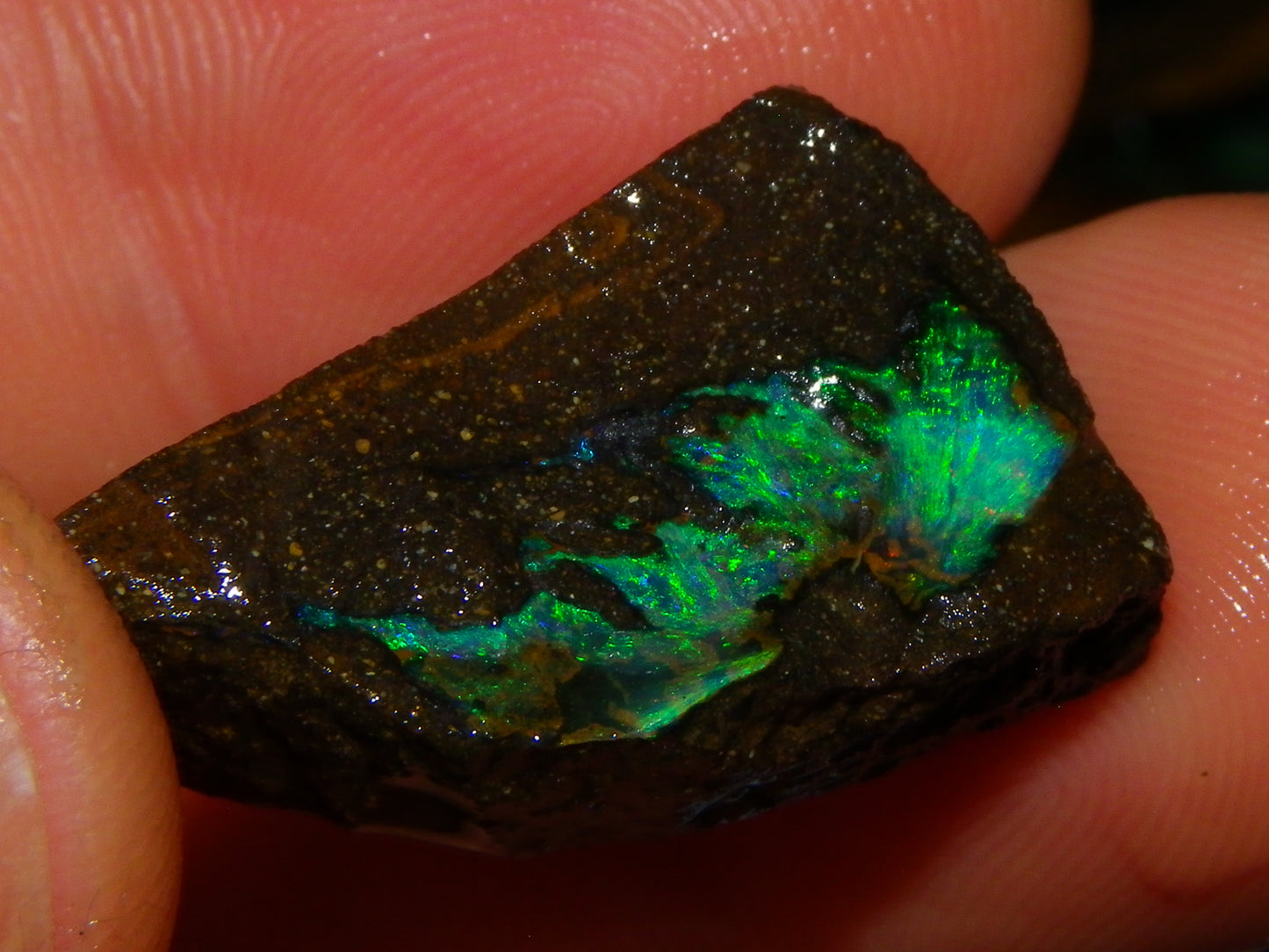 Nice Rough/Sliced/Rubbed Boulder Opal Parcel 350cts Queensland Australia :)