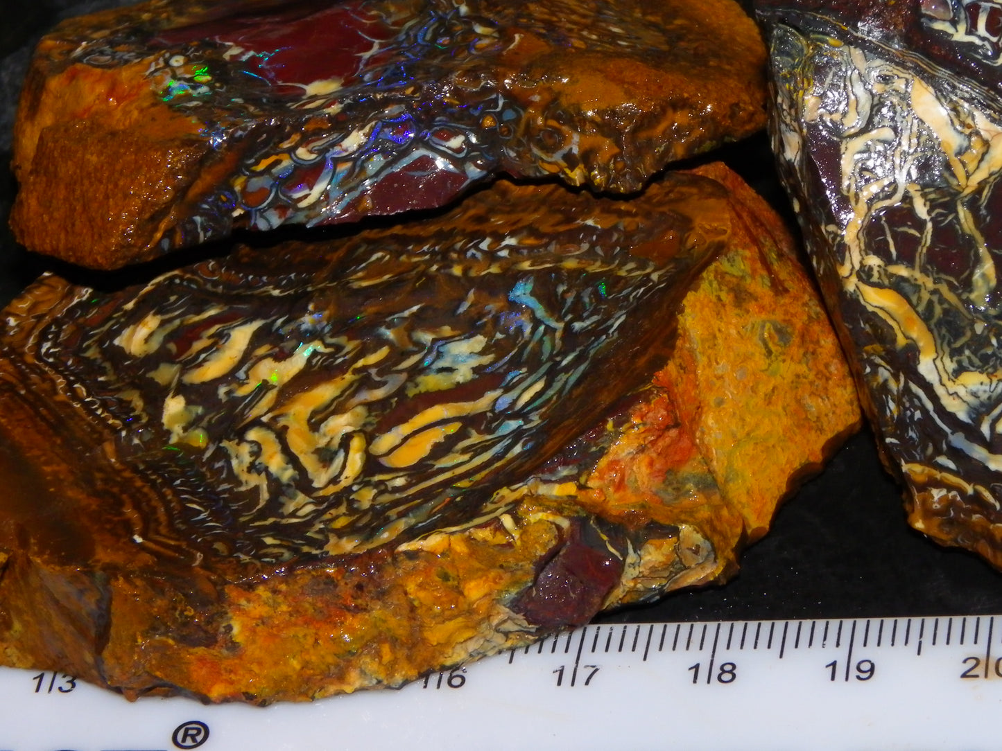 3 Nice Koroit Opal Rough/Sliced Specimens 1758cts Superb Patterns Some Fires Au