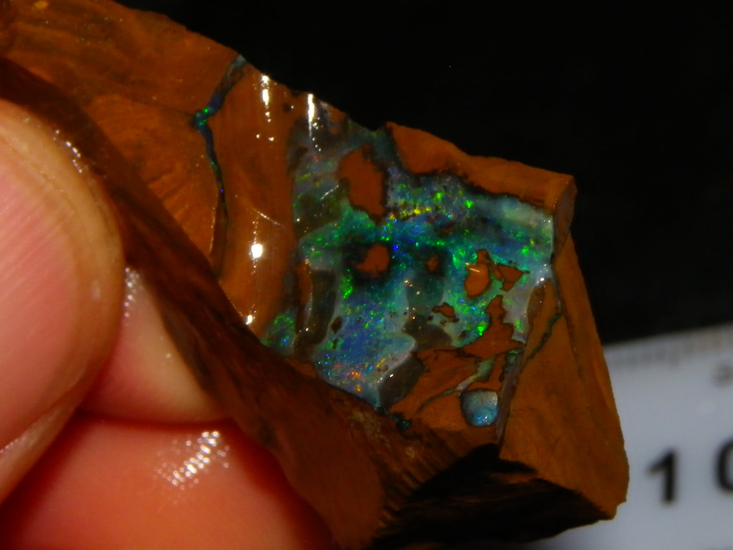 Nice Rough/Sliced/Rubbed Boulder Opal Parcel 350cts Queensland Australia :)