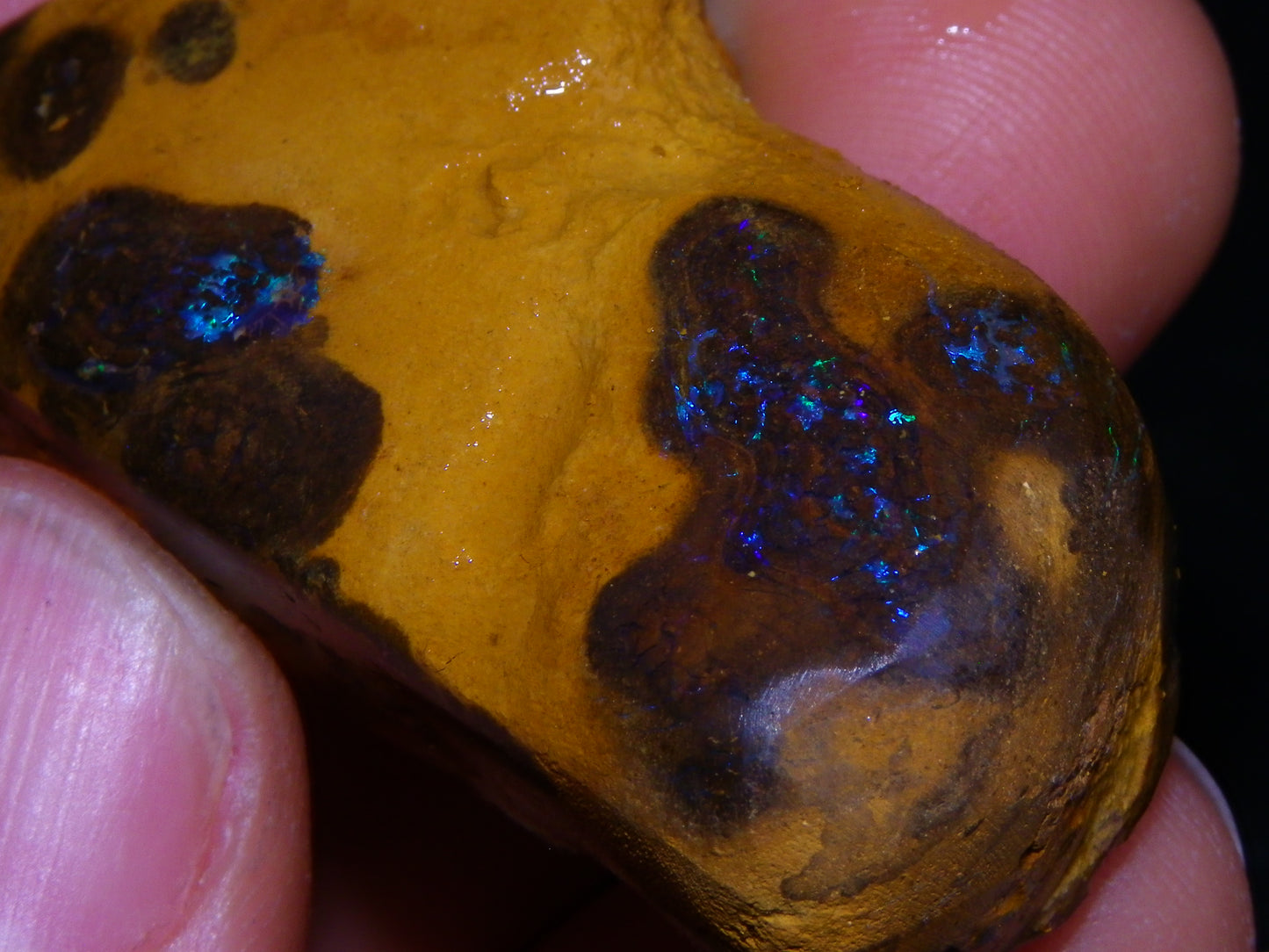 2 NIce rubbed Matrix Opal Specimens 371cts Queensland Australia Some Fires