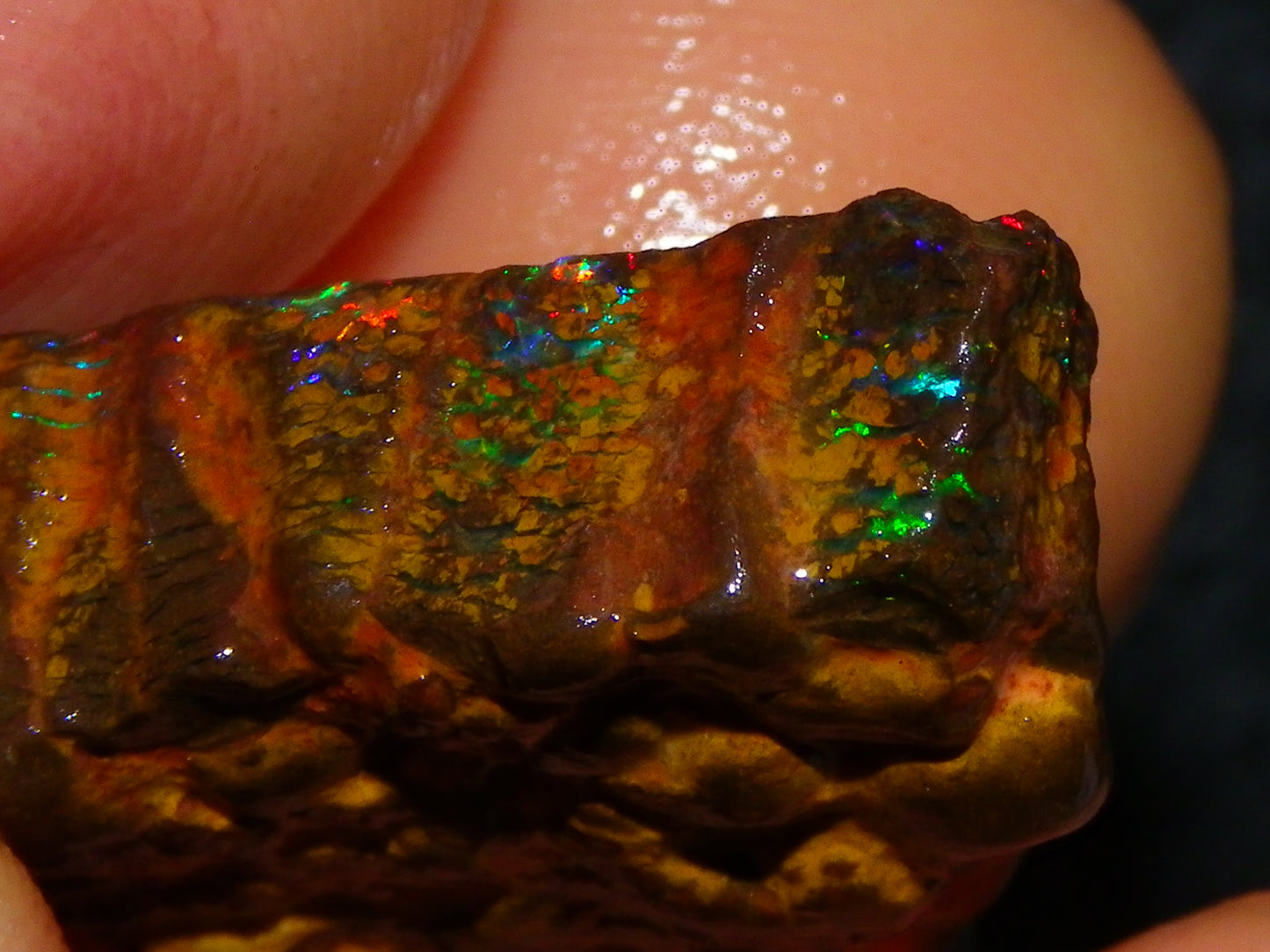 Gem Rough/Sliced Queensland Matrix Opal 44.09cts Red/Gold/Blue/Green Fires Solid Bars