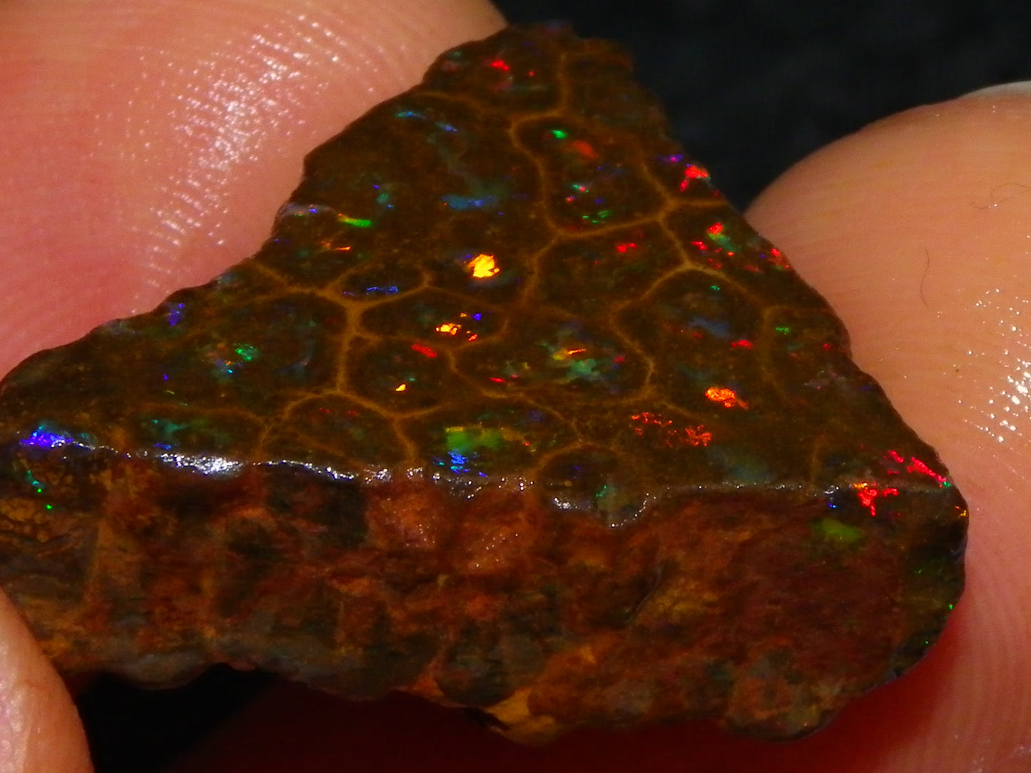 Gem Rough/Sliced Queensland Matrix Opal 44.09cts Red/Gold/Blue/Green Fires Solid Bars