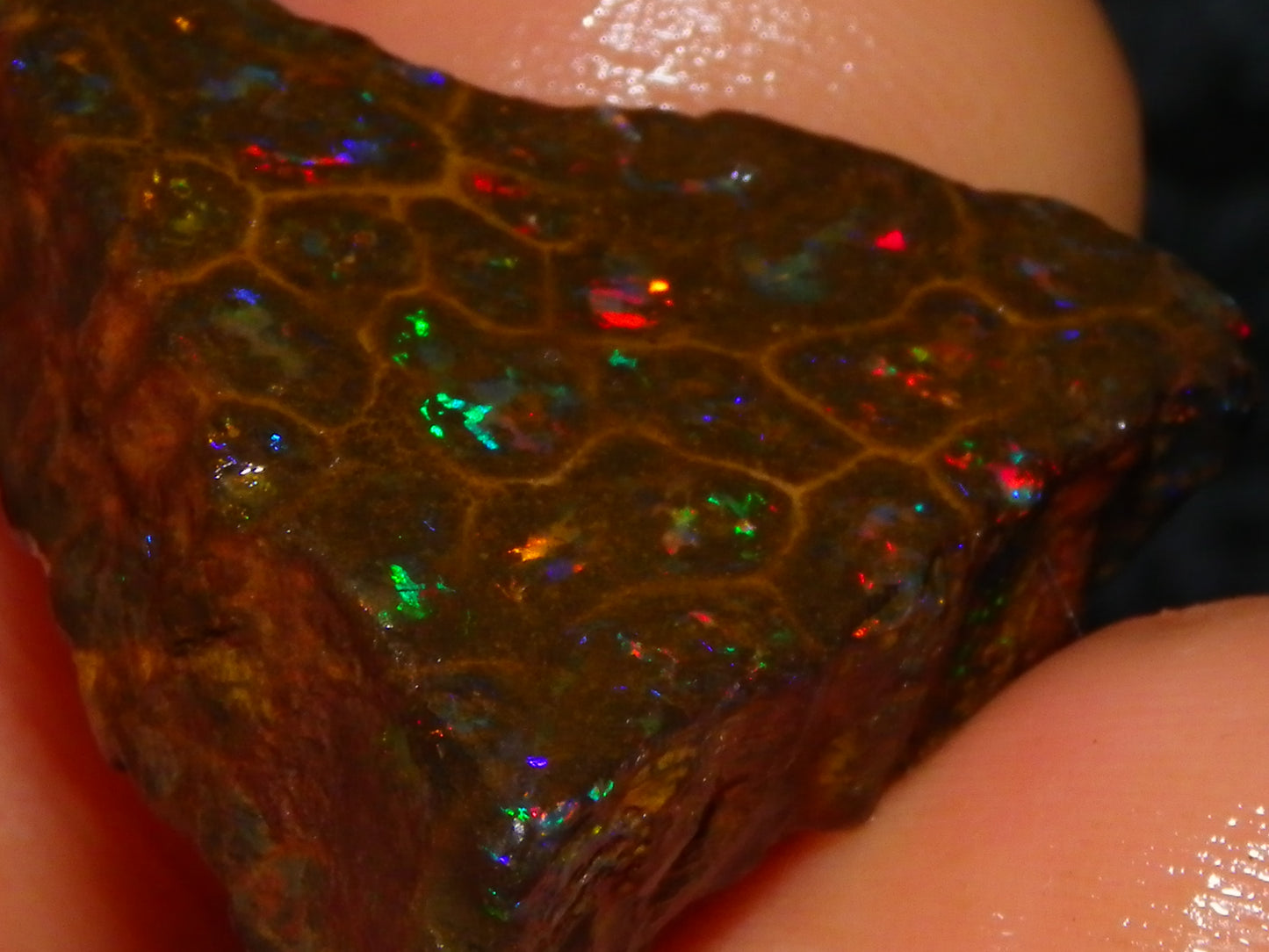 Gem Rough/Sliced Queensland Matrix Opal 44.09cts Red/Gold/Blue/Green Fires Solid Bars