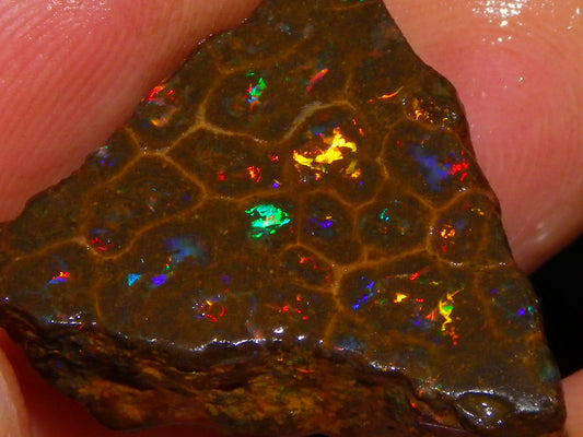 Gem Rough/Sliced Queensland Matrix Opal 44.09cts Red/Gold/Blue/Green Fires Solid Bars