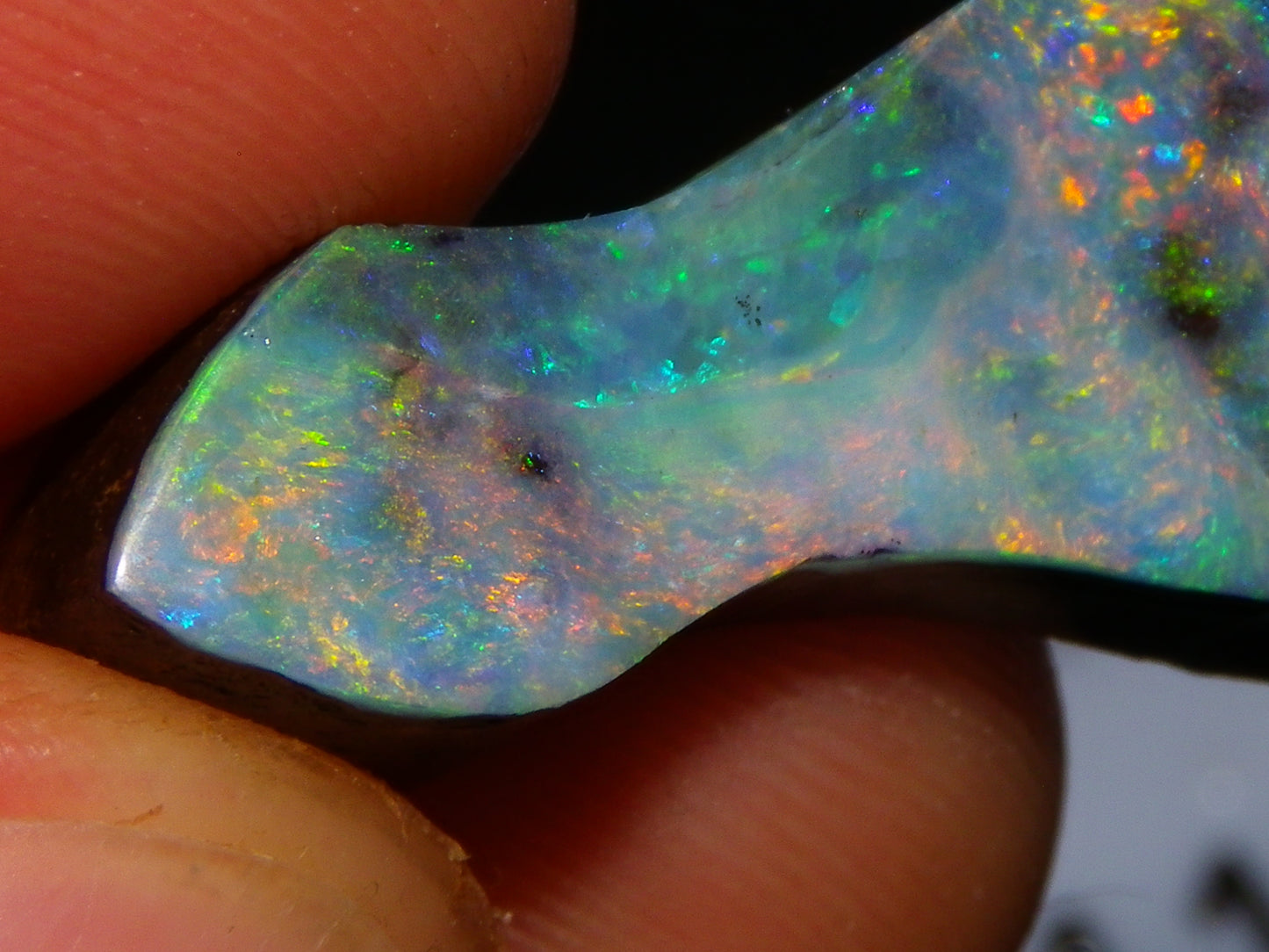 Nice Qld Boulder Opal Rub/Freeform 22.52cts Nice Fires/Multicolours Unusual Shape