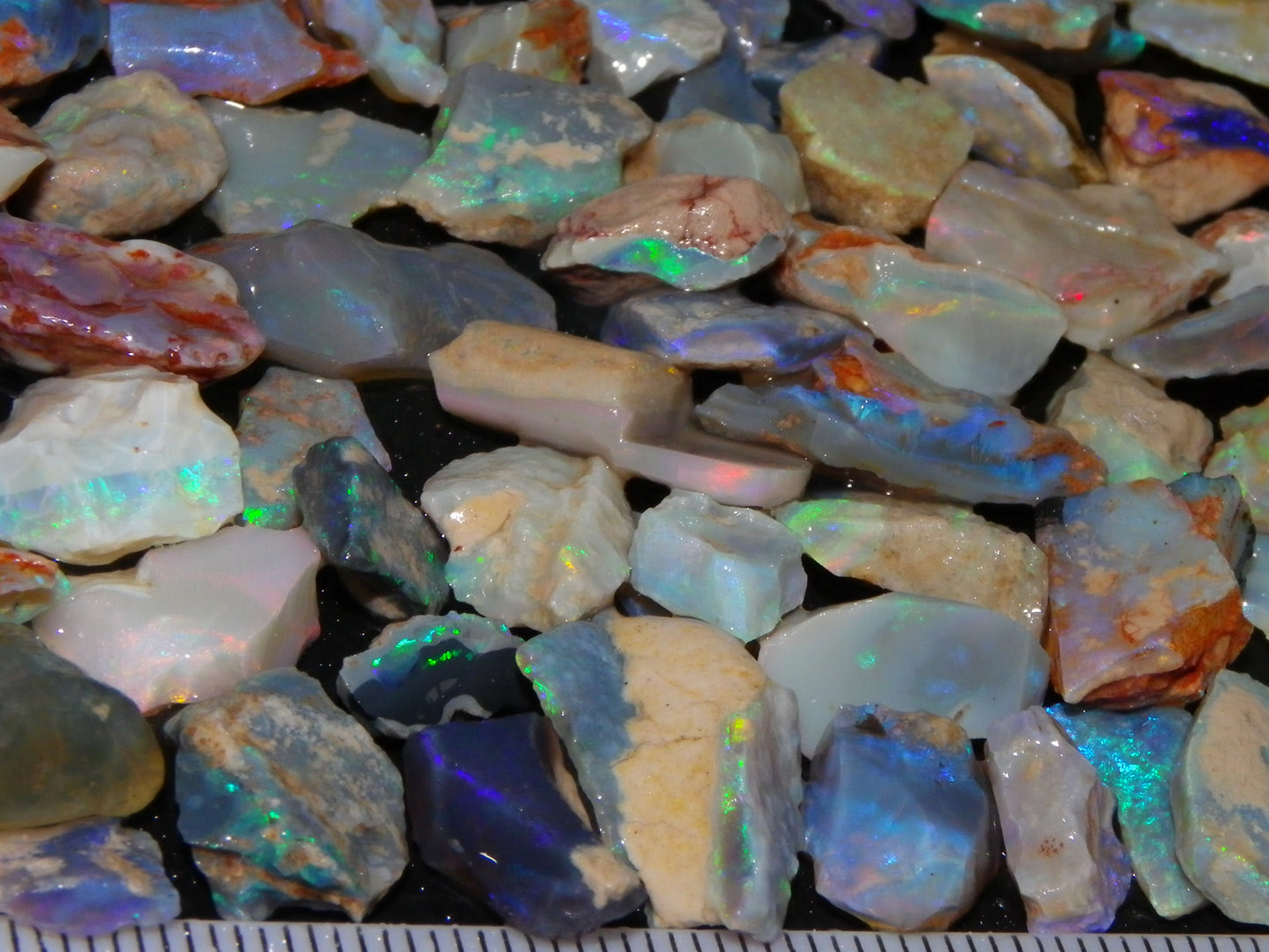 Nice Rough Lightning Ridge Opals 360cts Seam/Fossil/Nobby Green/Blue/Purple Fires