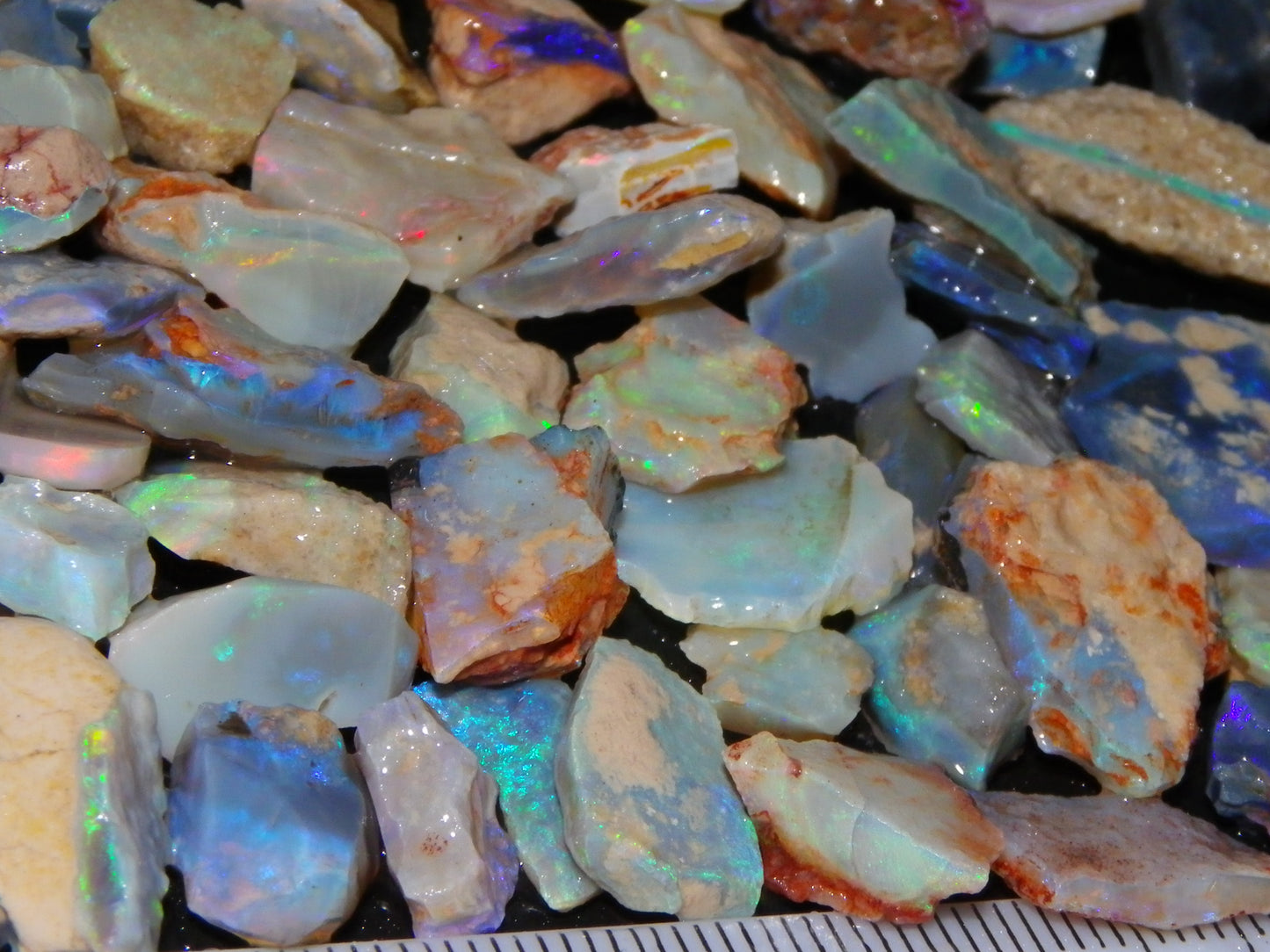 Nice Rough Lightning Ridge Opals 360cts Seam/Fossil/Nobby Green/Blue/Purple Fires