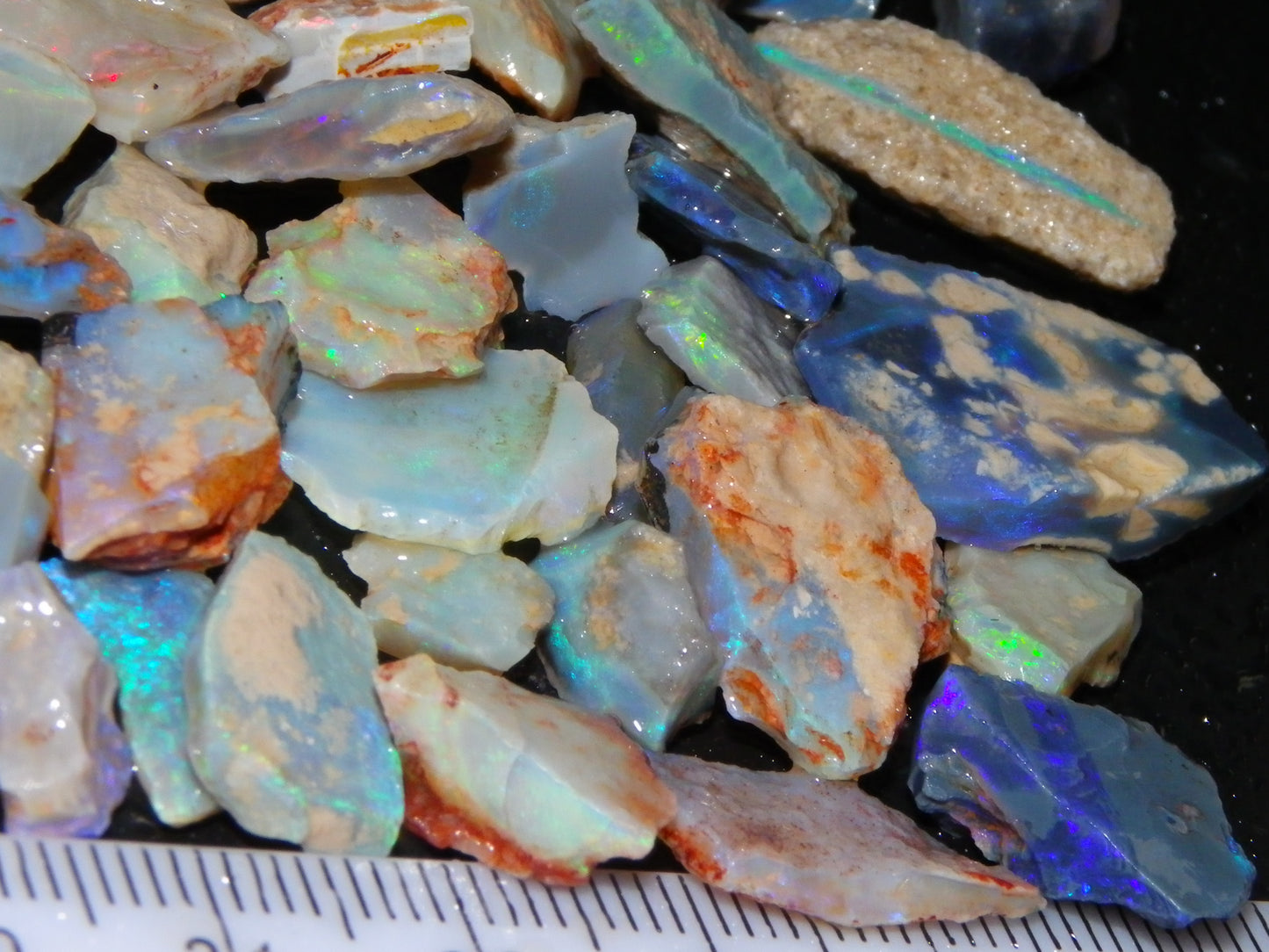 Nice Rough Lightning Ridge Opals 360cts Seam/Fossil/Nobby Green/Blue/Purple Fires