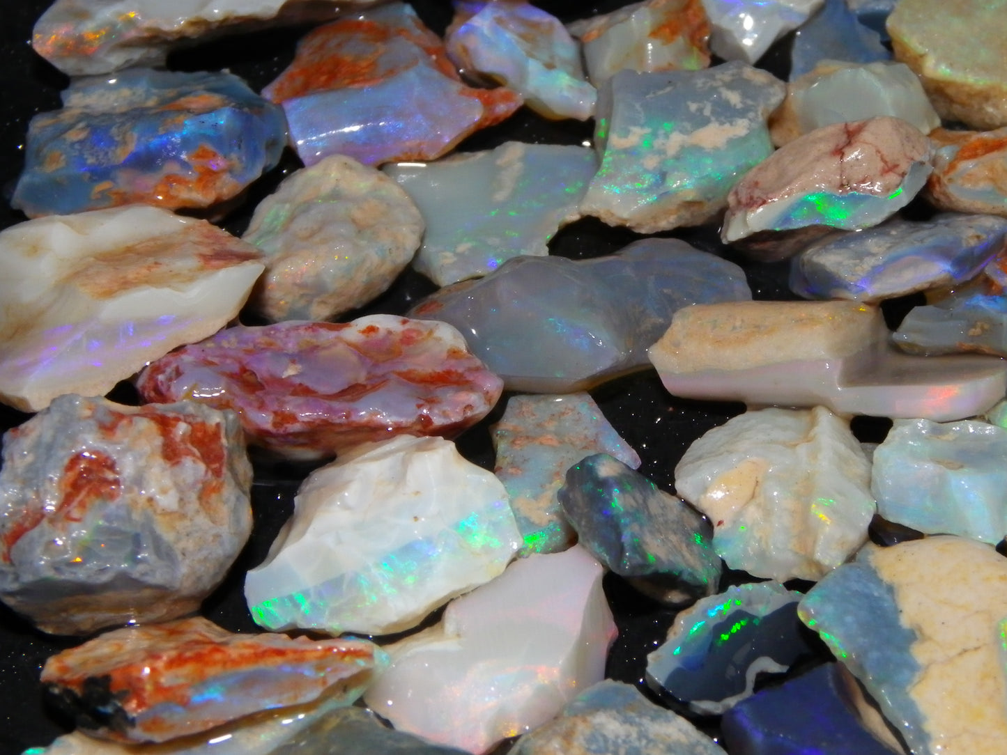 Nice Rough Lightning Ridge Opals 360cts Seam/Fossil/Nobby Green/Blue/Purple Fires