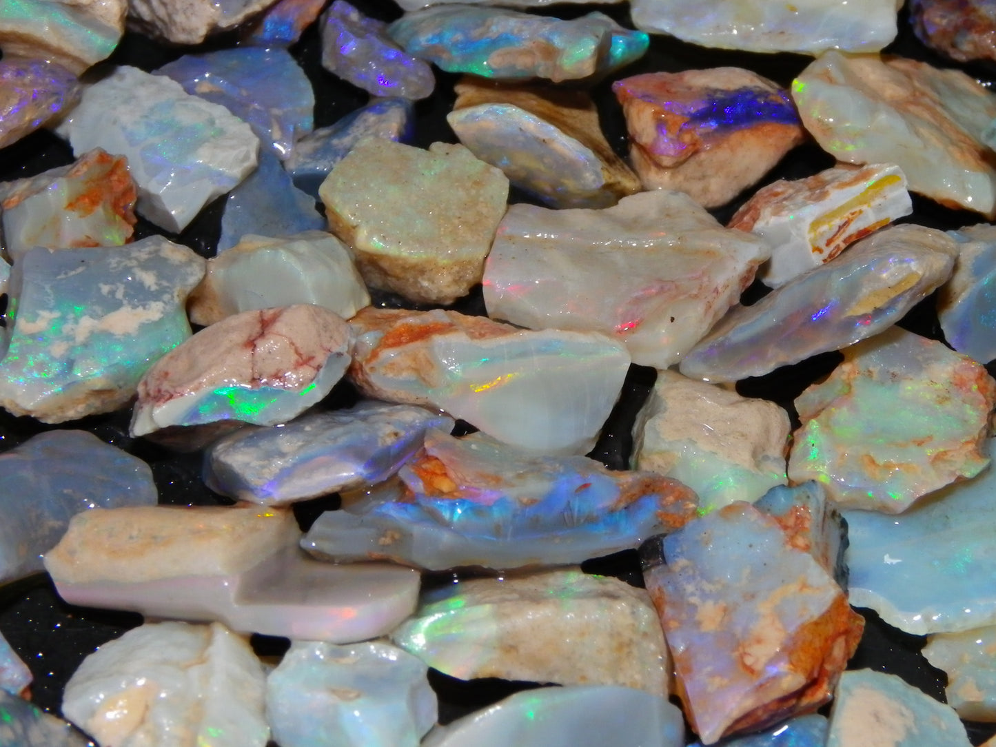 Nice Rough Lightning Ridge Opals 360cts Seam/Fossil/Nobby Green/Blue/Purple Fires