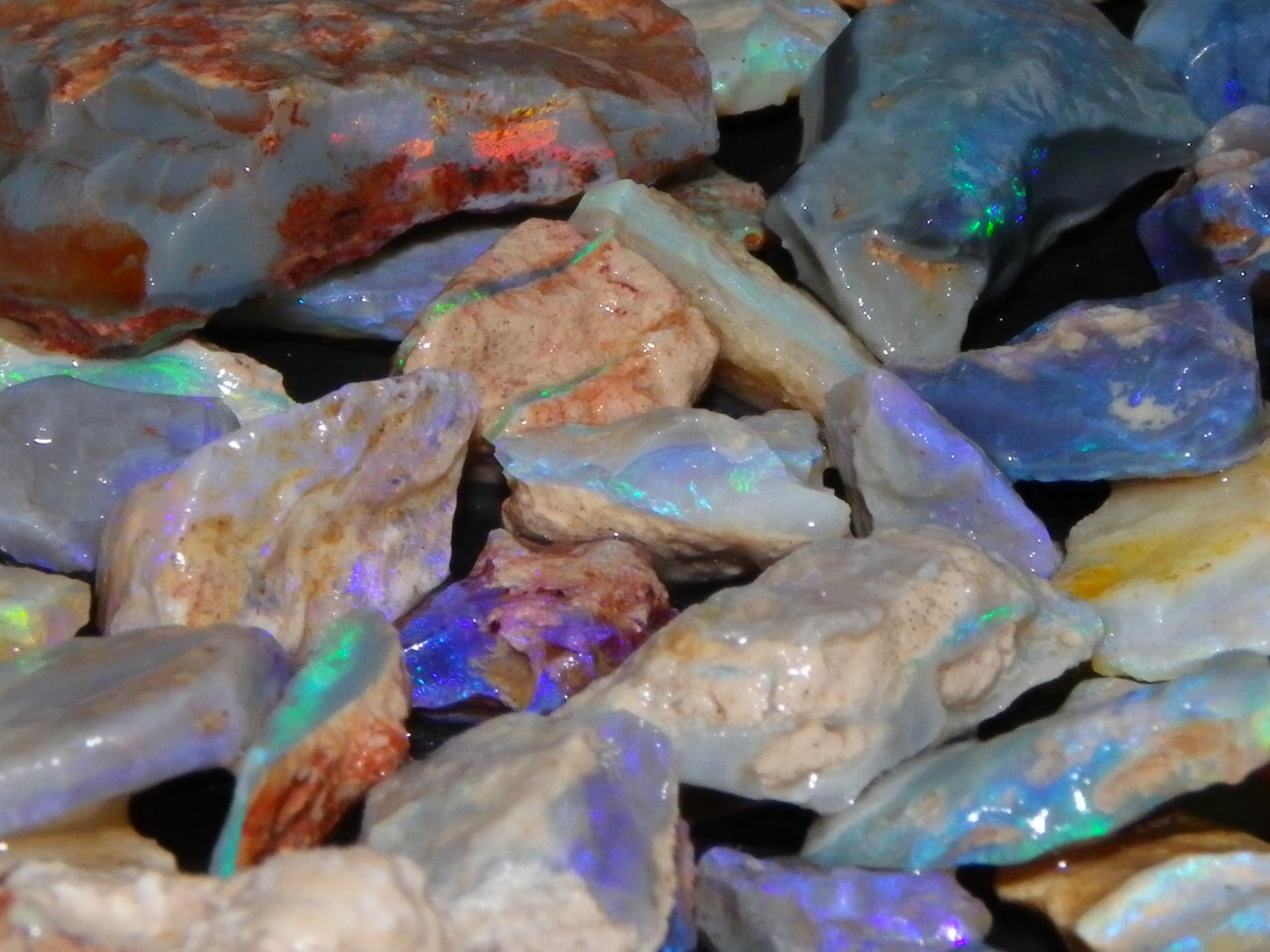 Nice Rough Lightning Ridge Opals 360cts Seam/Fossil/Nobby Green/Blue/Purple Fires