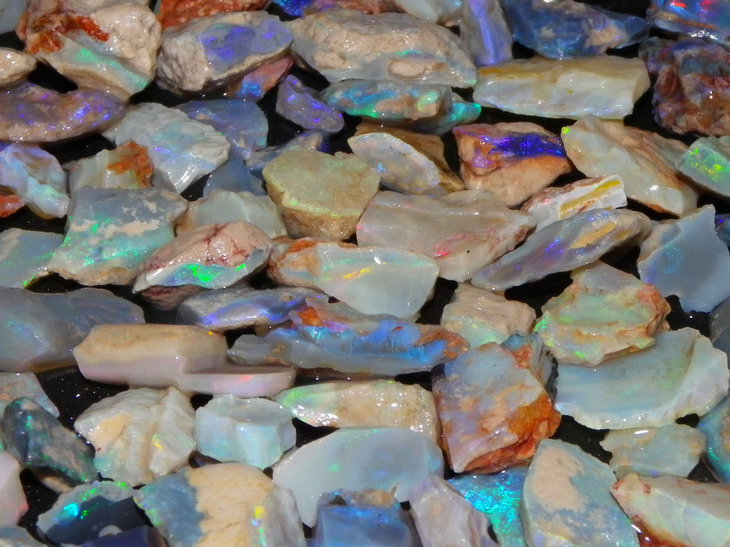 Nice Rough Lightning Ridge Opals 360cts Seam/Fossil/Nobby Green/Blue/Purple Fires