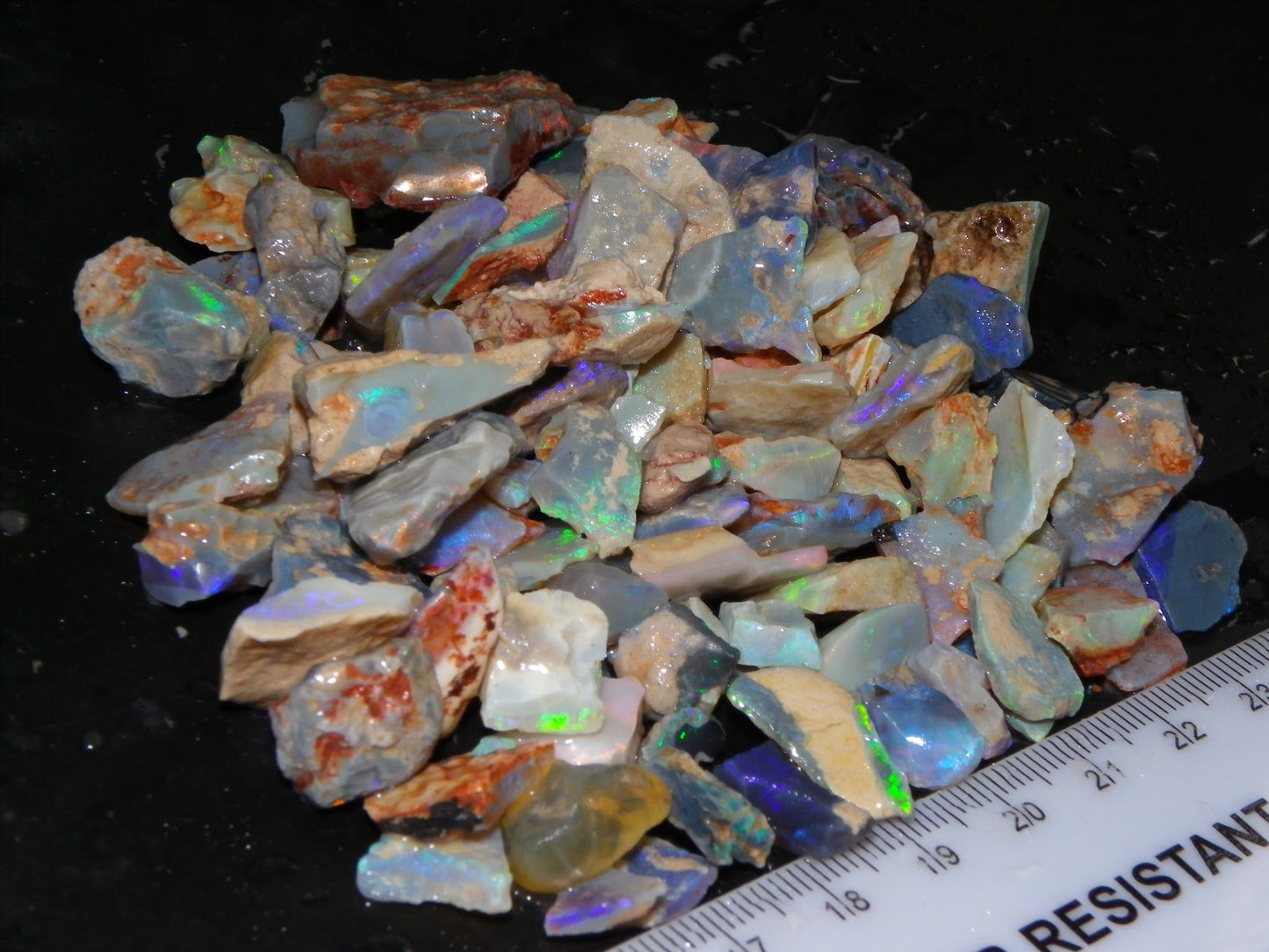 Nice Rough Lightning Ridge Opals 360cts Seam/Fossil/Nobby Green/Blue/Purple Fires