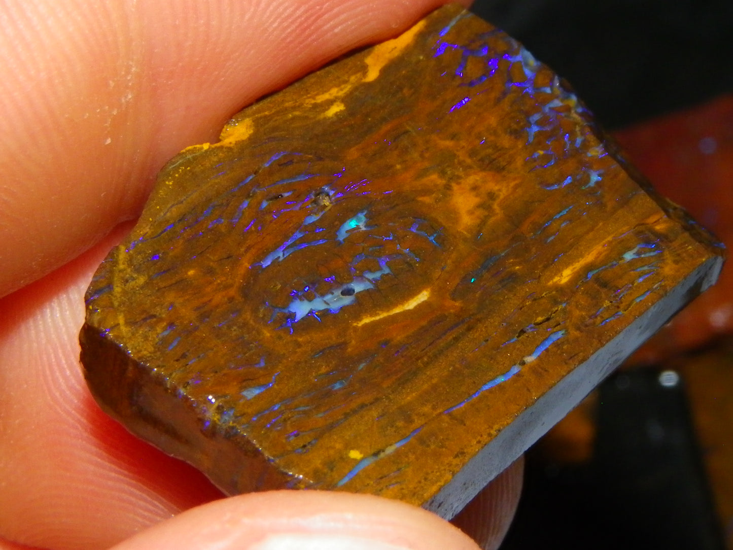 Nice Rough/Sliced Boulder/Matrix Opal Parcel 189.1cts Blue/Purples Veins Qld Au