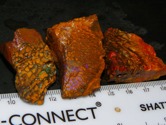 3 Nice Rough Koroit Opal Specimens 278cts Queensland Australia Pattern/Fires