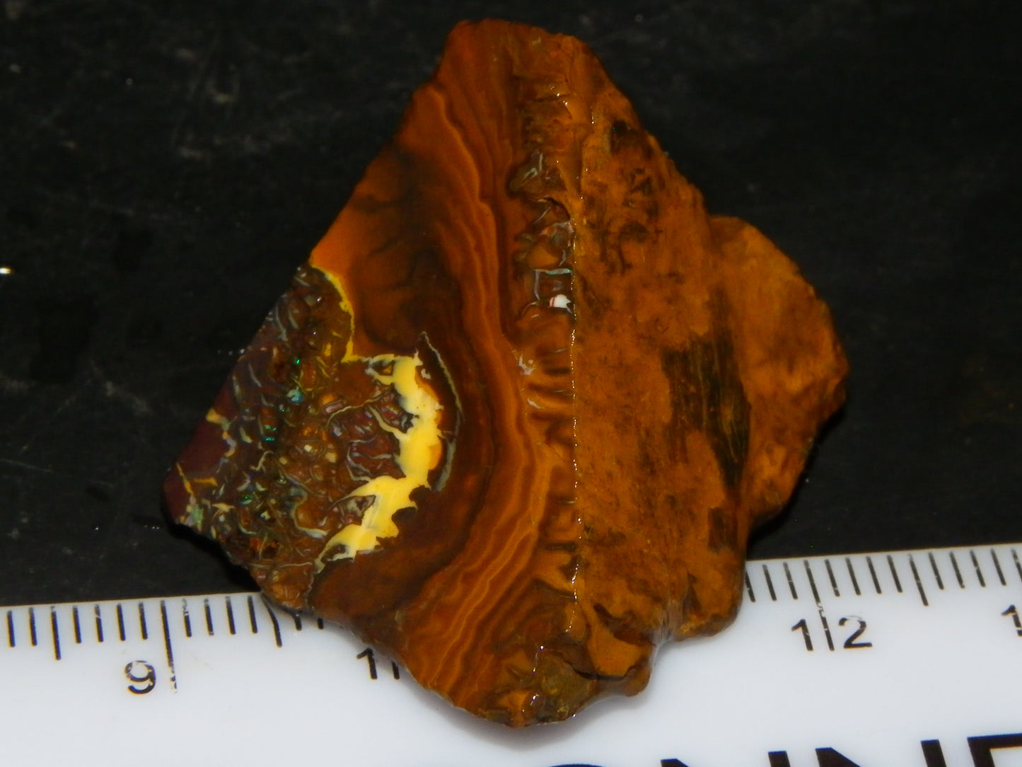 2 Nice Koroit Opal Rough Specimens 184.4cts Great Patterns Slight Fires Qld Au