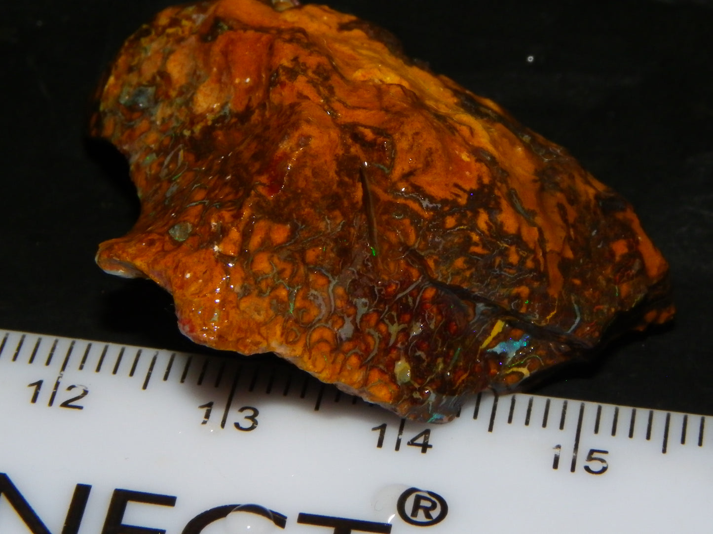 2 Nice Koroit Opal Rough Specimens 184.4cts Great Patterns Slight Fires Qld Au