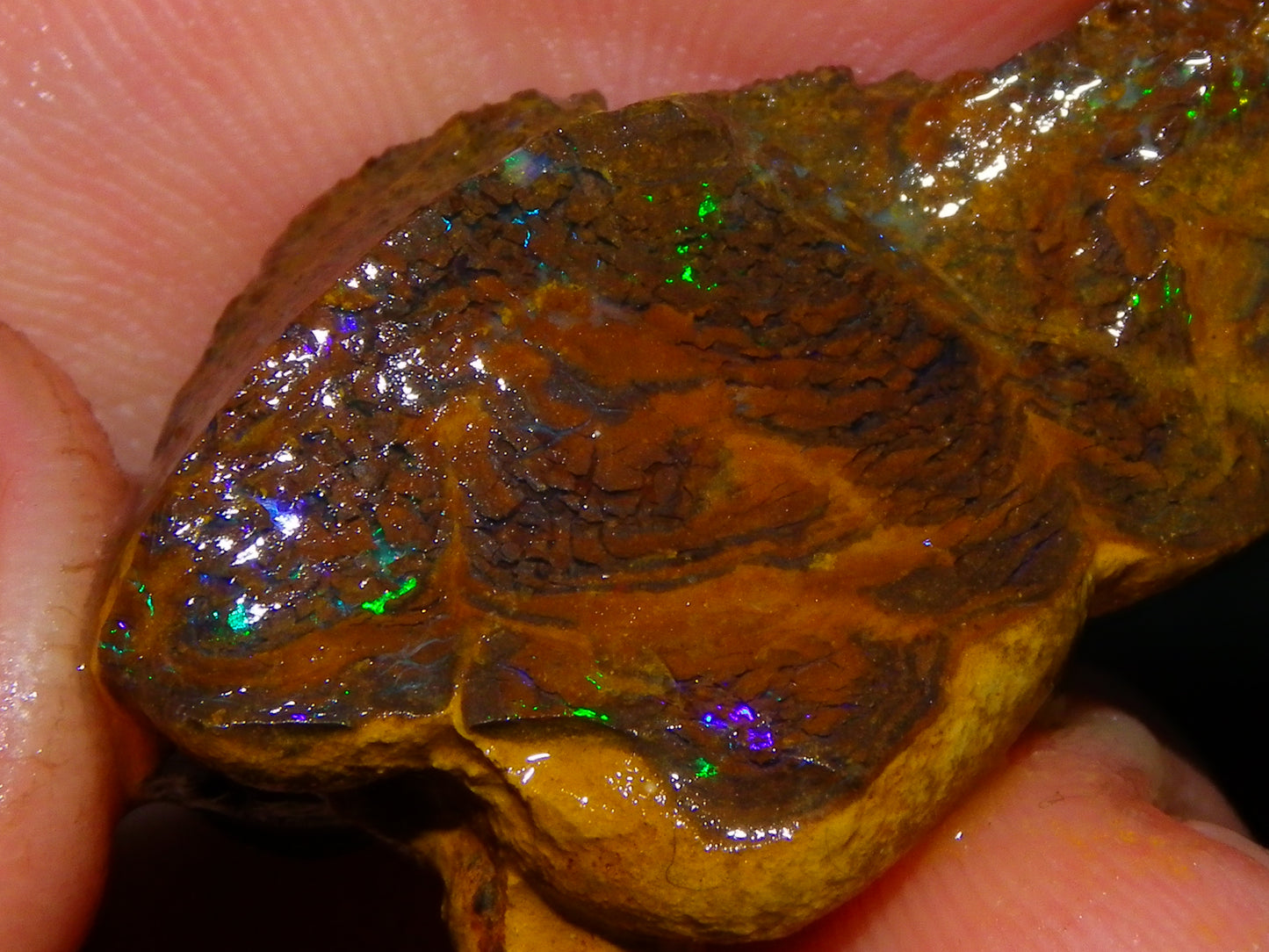 Nice Queensland Rough/Sliced Opal Parcel 1923cts Yowah/Koroit Nuts/Pattern Fires