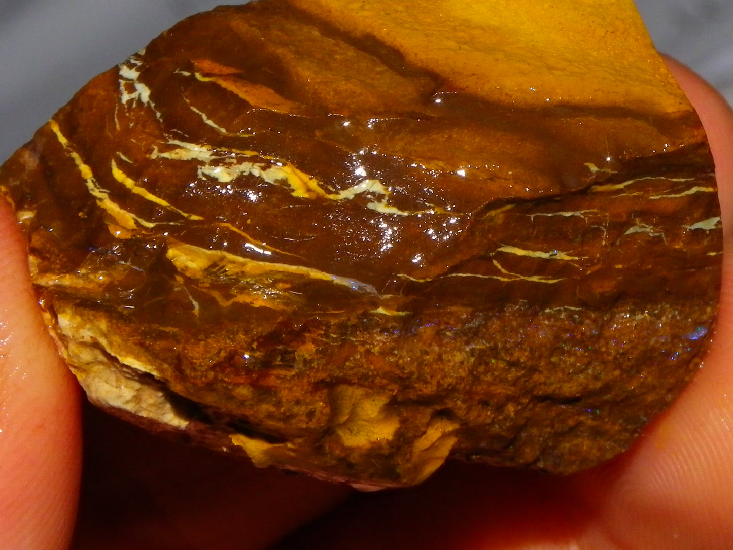 Nice Queensland Rough/Sliced Opal Parcel 1923cts Yowah/Koroit Nuts/Pattern Fires