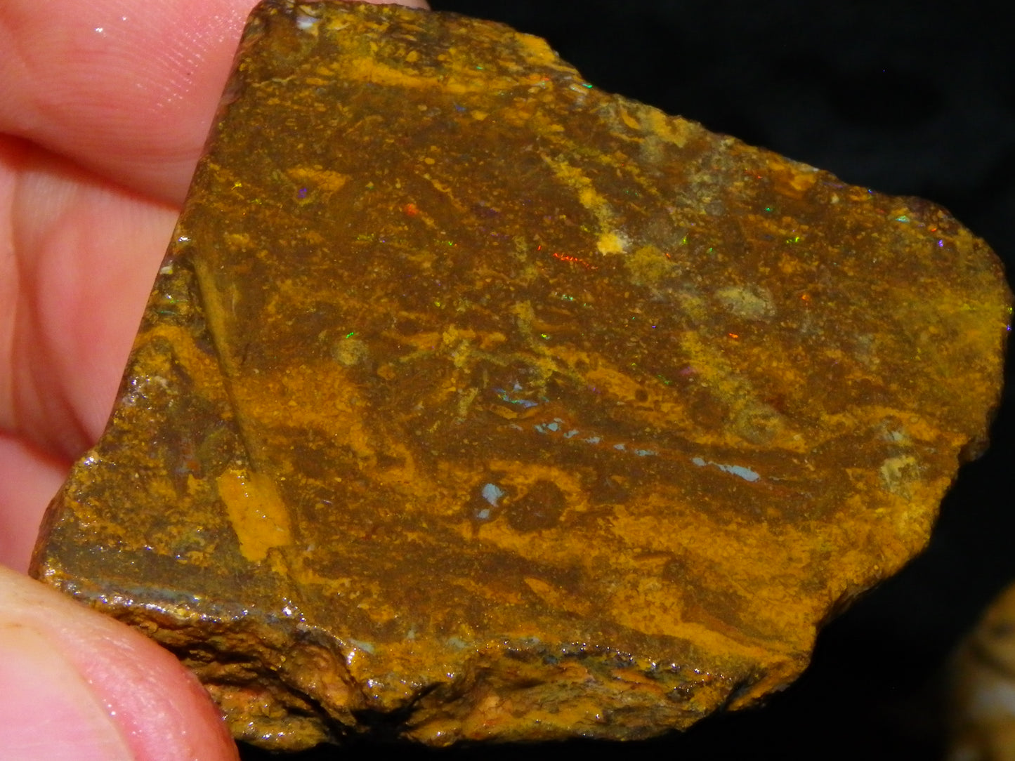 Nice Queensland Rough/Sliced Opal Parcel 1923cts Yowah/Koroit Nuts/Pattern Fires