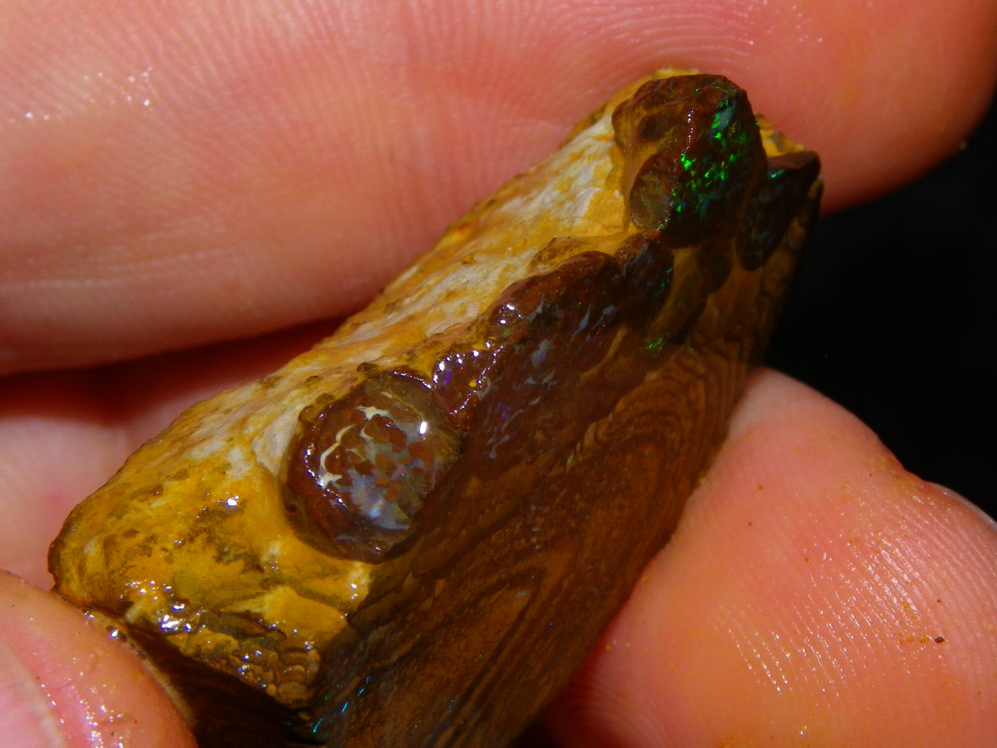 Nice Queensland Rough/Sliced Opal Parcel 1923cts Yowah/Koroit Nuts/Pattern Fires