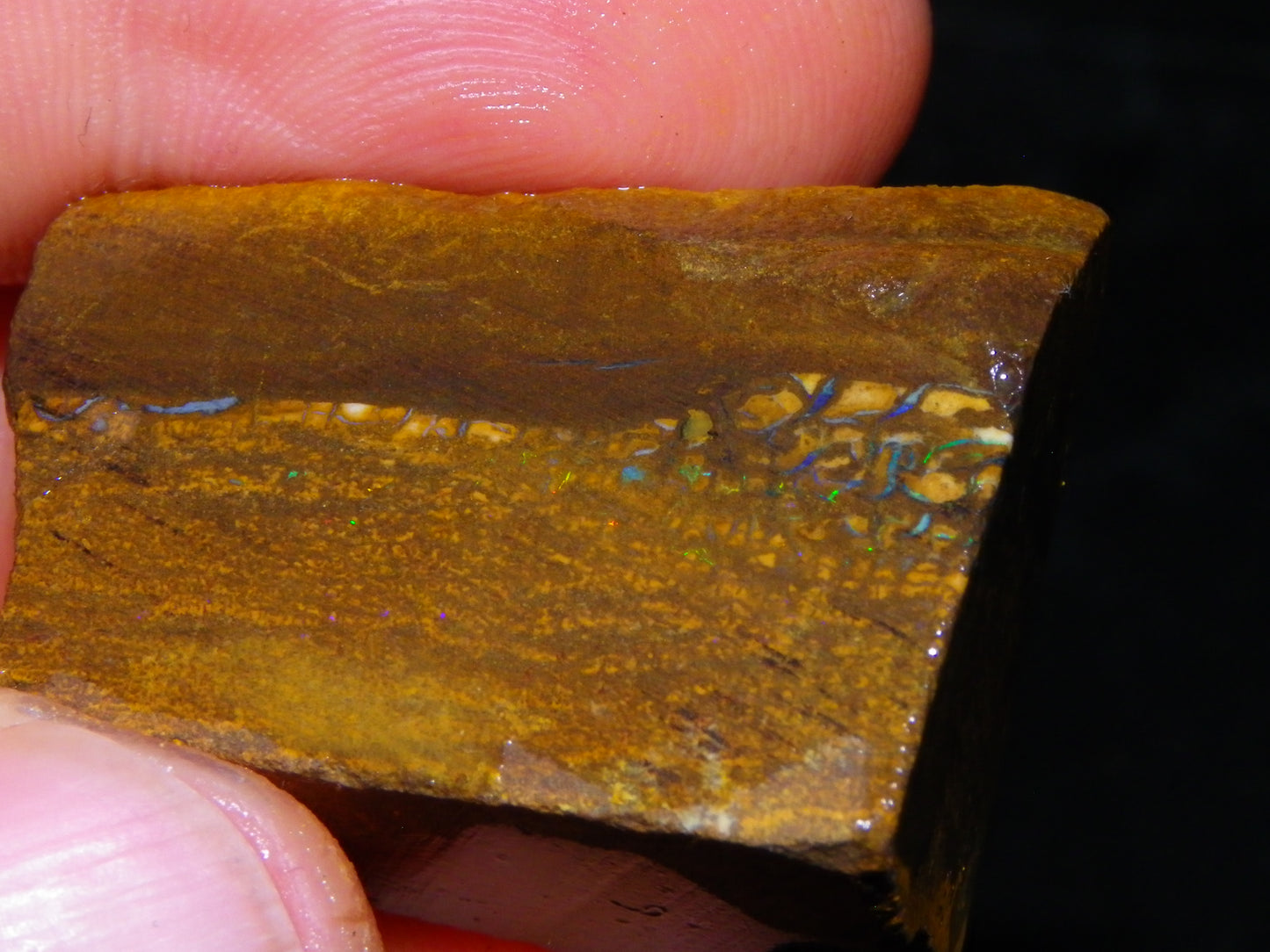 Nice Queensland Rough/Sliced Opal Parcel 1923cts Yowah/Koroit Nuts/Pattern Fires