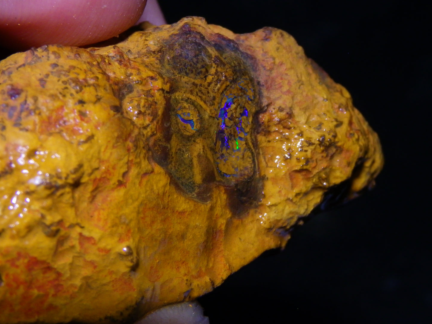 Nice Queensland Rough/Sliced Opal Parcel 1923cts Yowah/Koroit Nuts/Pattern Fires