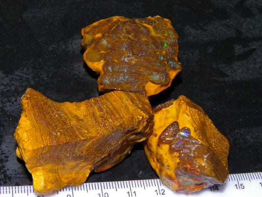 3 Nice Rough Matrix Opals 525.5cts Opalton Bright Green/Blue/Orange Fires