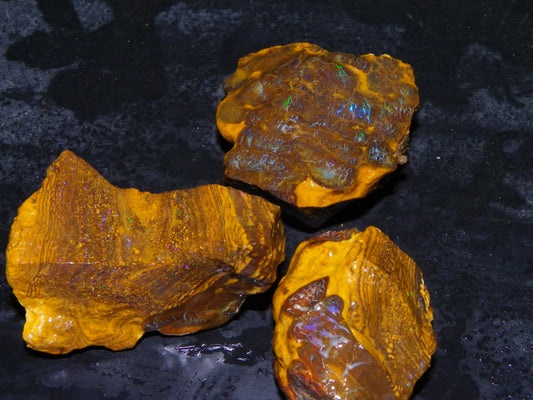 3 Nice Rough Matrix Opals 525.5cts Opalton Bright Green/Blue/Orange Fires