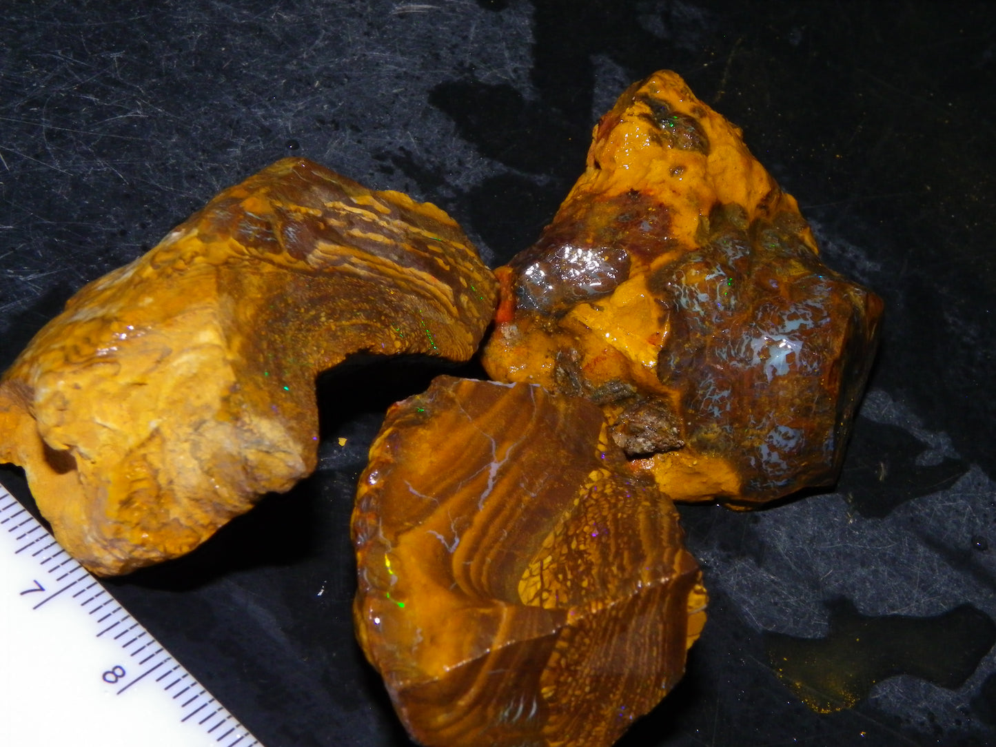 3 Nice Rough Matrix Opals 525.5cts Opalton Bright Green/Blue/Orange Fires