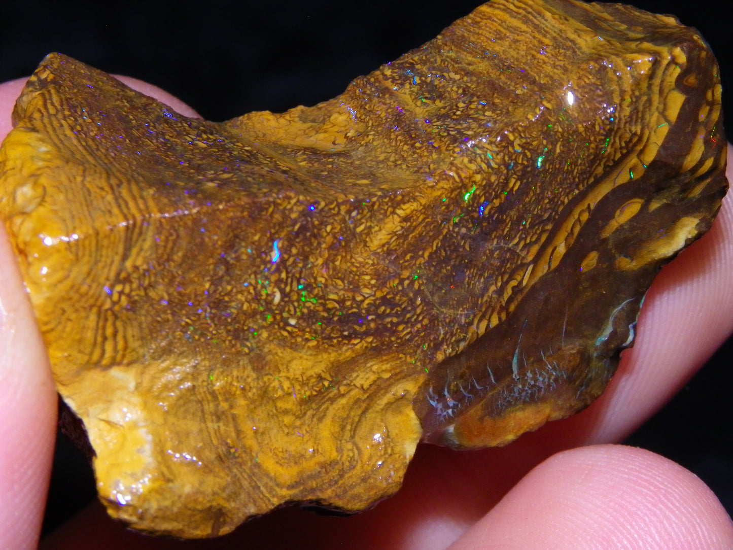 3 Nice Rough Matrix Opals 525.5cts Opalton Bright Green/Blue/Orange Fires